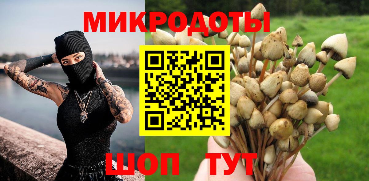 Галлюциногенные грибы прущие грибы Кушва