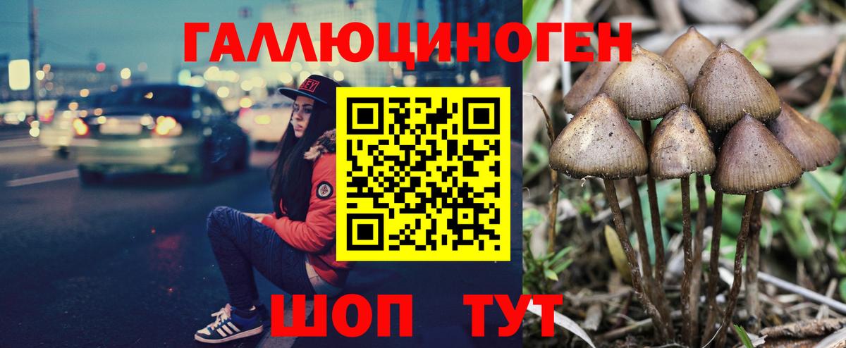 Псилоцибиновые грибы Psilocybe  Галлюциногенные грибы MAGIC MUSHROOMS  Кушва  Вход с VPN 